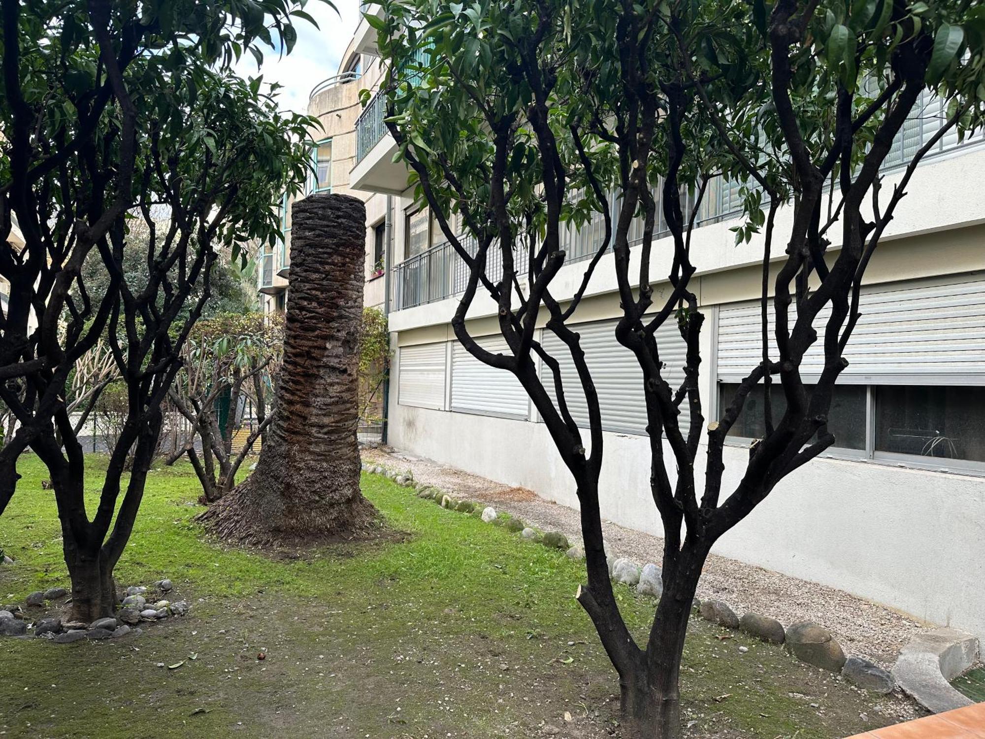 Apartament Les Clementines Nicea Zewnętrze zdjęcie