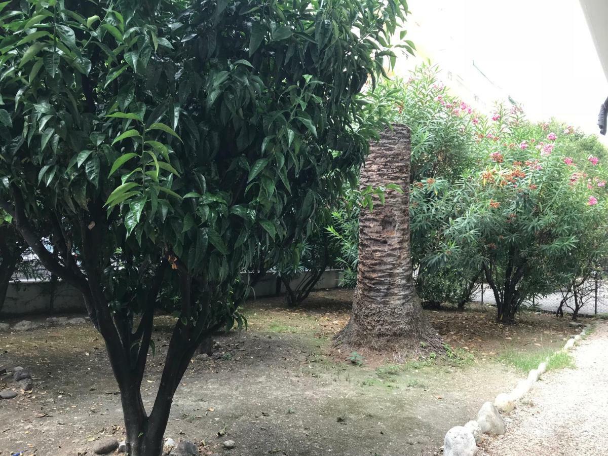Apartament Les Clementines Nicea Zewnętrze zdjęcie